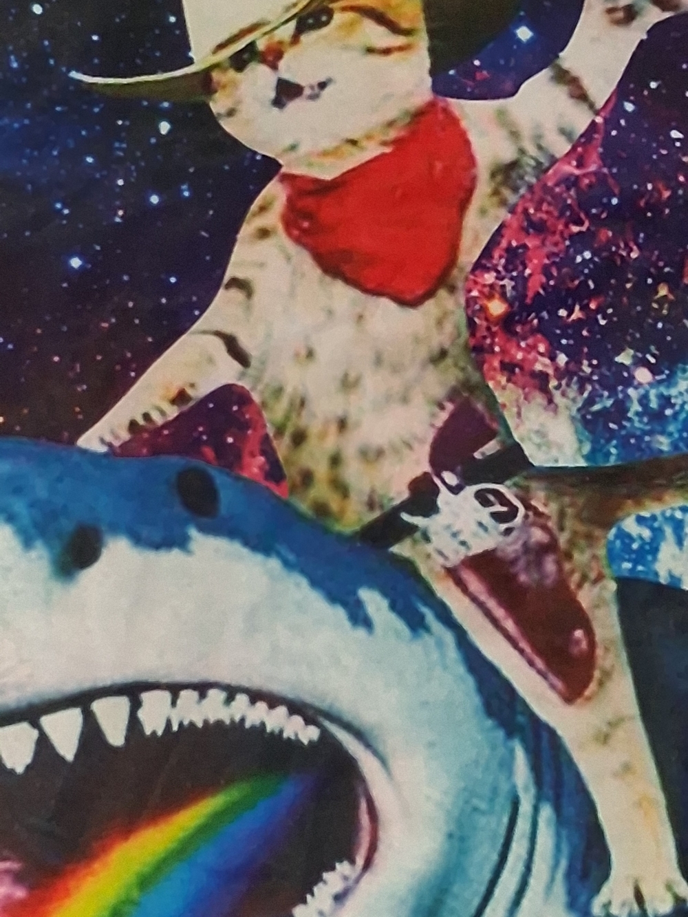 Galaxy Cat Shark One Piece Blue & Pink Small Like New